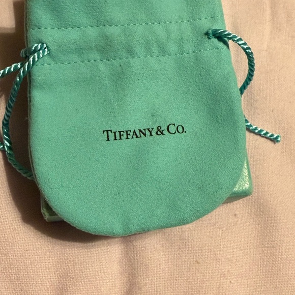 Tiffany & Co. Aqua Jewelry Pouch - Picture 2 of 3